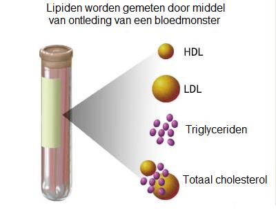 HDL-LDL-VLDL-Totaal-Cholesterol